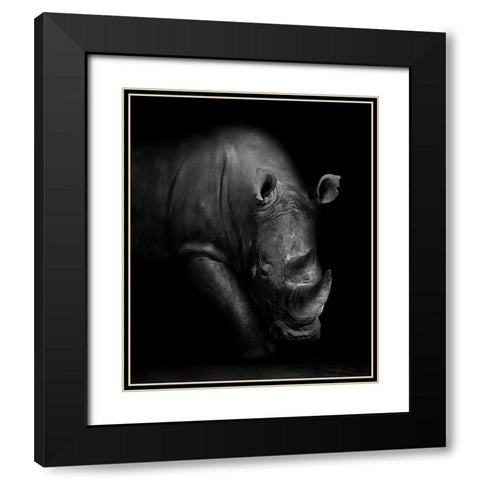 Rhino Black Modern Wood Framed Art Print with Double Matting by Wildphotoart