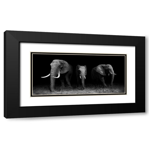 Out Of The Darkness Black Modern Wood Framed Art Print with Double Matting by Wildphotoart