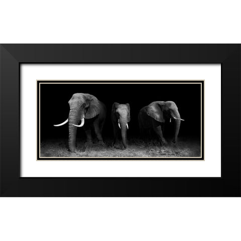 Out Of The Darkness Black Modern Wood Framed Art Print with Double Matting by Wildphotoart