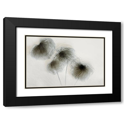 Clematis Black Modern Wood Framed Art Print with Double Matting by Talen, Nel