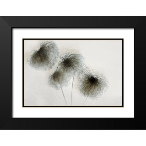 Clematis Black Modern Wood Framed Art Print with Double Matting by Talen, Nel