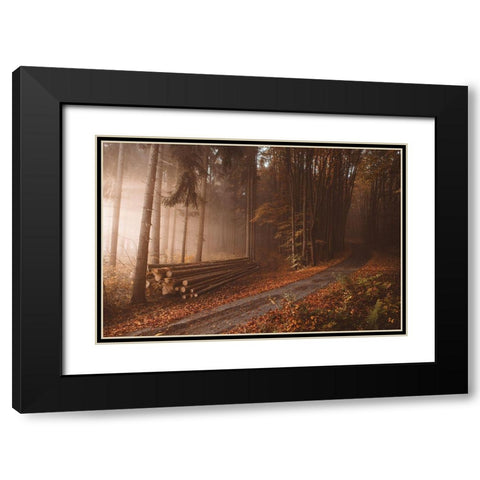 Orange Beauty In Common Things Black Modern Wood Framed Art Print with Double Matting by Hudolin, Tomas