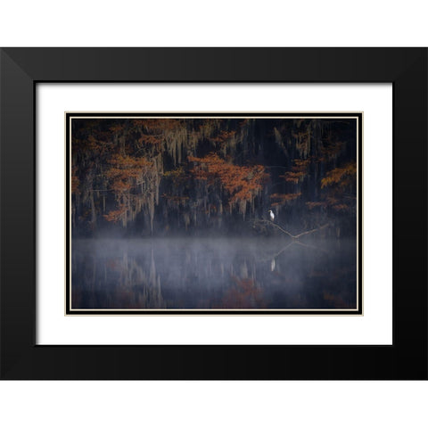 Misty Morning Black Modern Wood Framed Art Print with Double Matting by Zheng, Michael