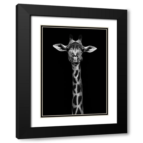 Giraffe Portrait Black Modern Wood Framed Art Print with Double Matting by WildPhotoArt
