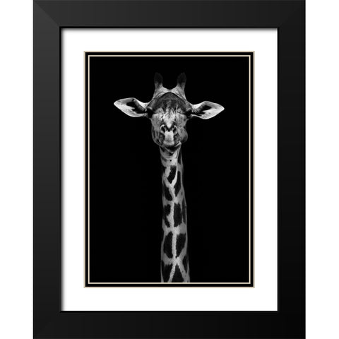 Giraffe Portrait Black Modern Wood Framed Art Print with Double Matting by WildPhotoArt