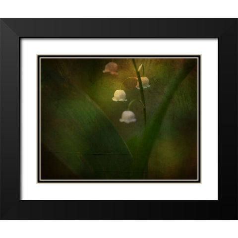Dreaming Of Spring - Lily Of The Valley Black Modern Wood Framed Art Print with Double Matting by Eisenmann, Ulrike