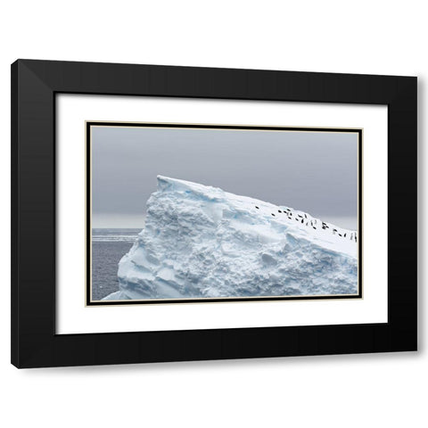 The Giant Slide Black Modern Wood Framed Art Print with Double Matting by kahi