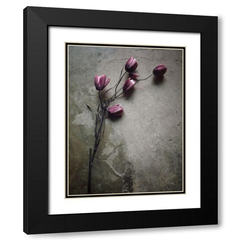 The Elegant Tulip Black Modern Wood Framed Art Print with Double Matting by Lagaa, Kahar