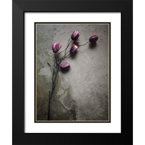 The Elegant Tulip Black Modern Wood Framed Art Print with Double Matting by Lagaa, Kahar