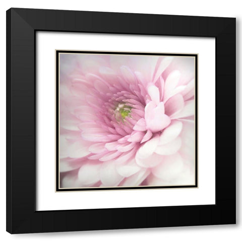 Pink Black Modern Wood Framed Art Print with Double Matting by Riahy, Benyamin