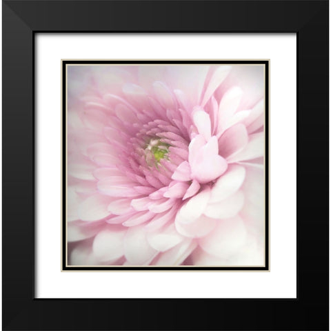 Pink Black Modern Wood Framed Art Print with Double Matting by Riahy, Benyamin