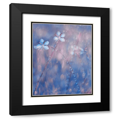 The Flower Duet Black Modern Wood Framed Art Print with Double Matting by Devos, Delphine