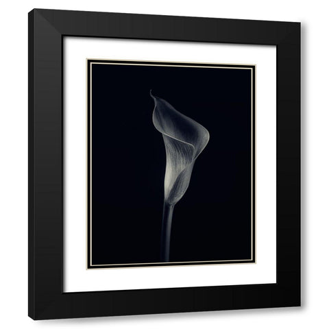 Calla Lily Black Modern Wood Framed Art Print with Double Matting by Gronkjar, Lotte
