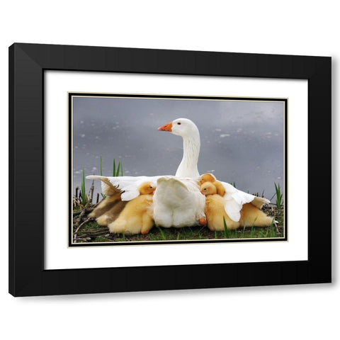 Mums Protection Black Modern Wood Framed Art Print with Double Matting by Limberg, Huib