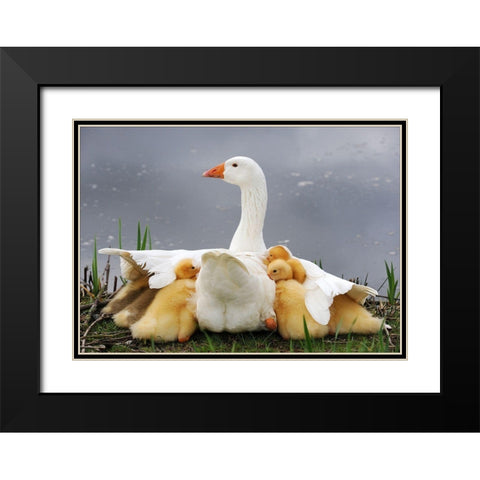 Mums Protection Black Modern Wood Framed Art Print with Double Matting by Limberg, Huib