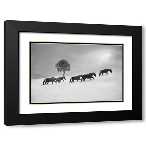Untitled Black Modern Wood Framed Art Print with Double Matting by Tanev, Todor