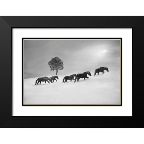 Untitled Black Modern Wood Framed Art Print with Double Matting by Tanev, Todor