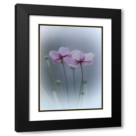 Purple Delight Black Modern Wood Framed Art Print with Double Matting by Bamboo, Purple