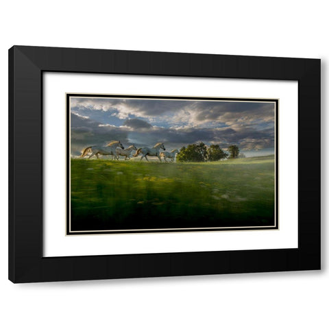 In The Morning Pink Black Modern Wood Framed Art Print with Double Matting by Malovrh, Milan