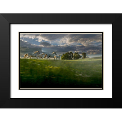 In The Morning Pink Black Modern Wood Framed Art Print with Double Matting by Malovrh, Milan
