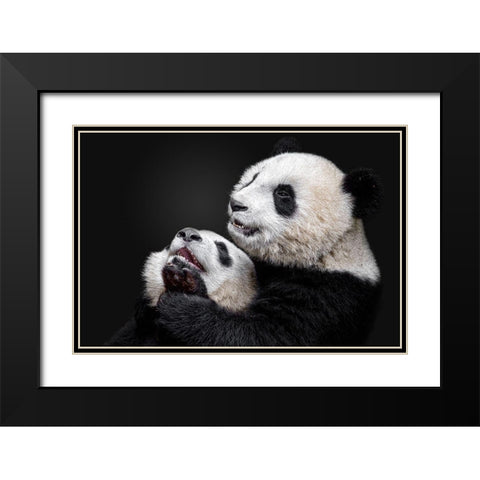 Pandas Black Modern Wood Framed Art Print with Double Matting by Catta, Alessandro