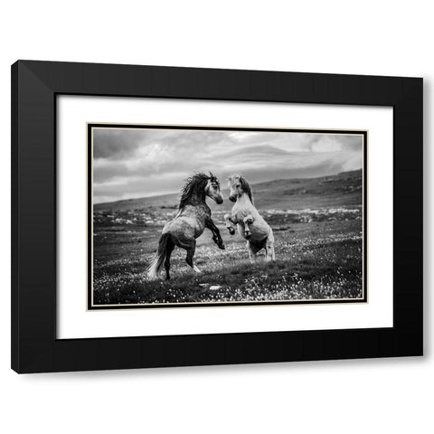 Wild And Free Black Modern Wood Framed Art Print with Double Matting by Vidak, Vedran