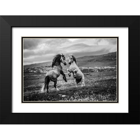 Wild And Free Black Modern Wood Framed Art Print with Double Matting by Vidak, Vedran