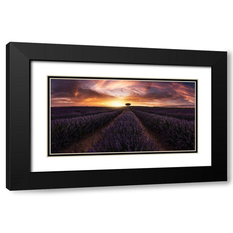 Lavender Sunset Black Modern Wood Framed Art Print with Double Matting by Ruiz Dueso, Jorge