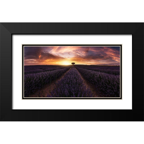 Lavender Sunset Black Modern Wood Framed Art Print with Double Matting by Ruiz Dueso, Jorge