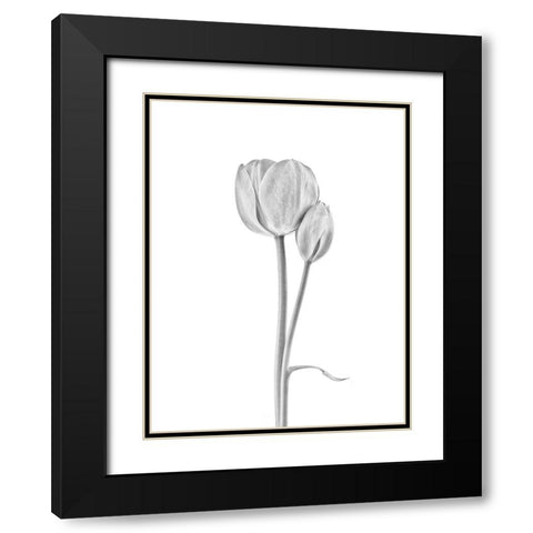 Connected Black Modern Wood Framed Art Print with Double Matting by Gronkjar, Lotte