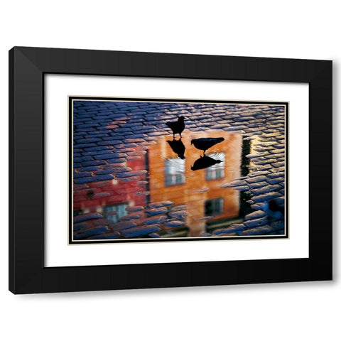 Pigeons Black Modern Wood Framed Art Print with Double Matting by Wallberg, Allan