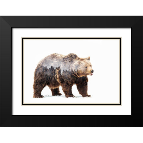 Bear Black Modern Wood Framed Art Print with Double Matting by Beata, Angyalosi