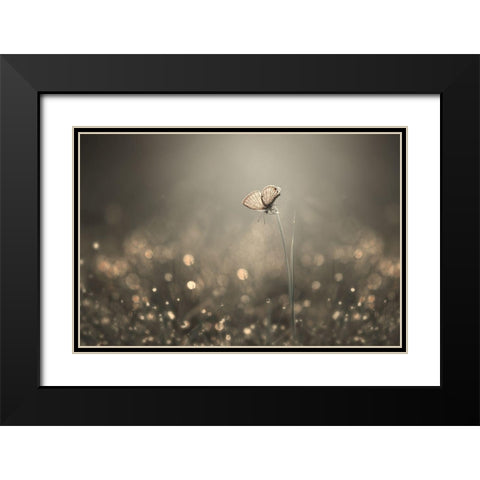 Dream Light Black Modern Wood Framed Art Print with Double Matting by Pamungkas, Edy