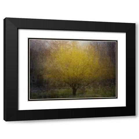 Town Square Black Modern Wood Framed Art Print with Double Matting by Holmstrom, Katarina