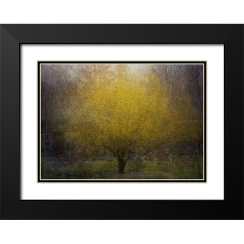 Town Square Black Modern Wood Framed Art Print with Double Matting by Holmstrom, Katarina