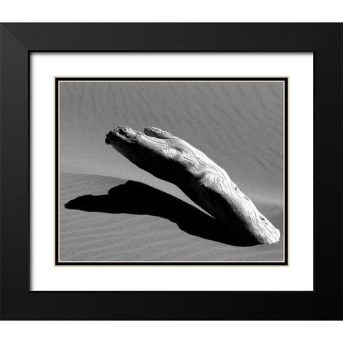 Ergo Black Modern Wood Framed Art Print with Double Matting by Abramovici, Miron