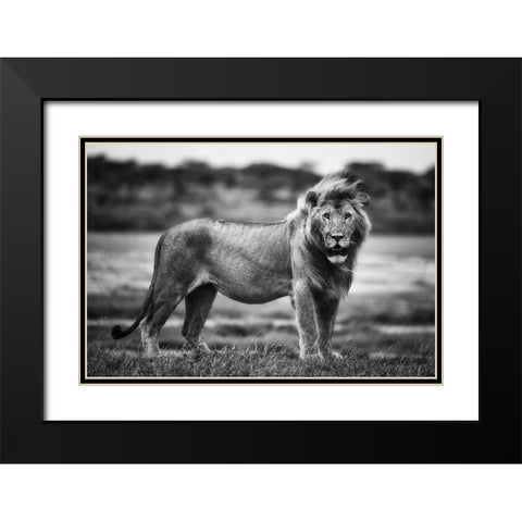 Royal Pose Black Modern Wood Framed Art Print with Double Matting by Alnaser, Mohammed