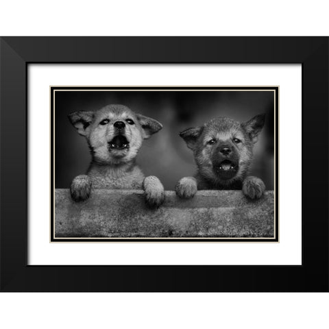 Aa Black Modern Wood Framed Art Print with Double Matting by Mp, Hendy