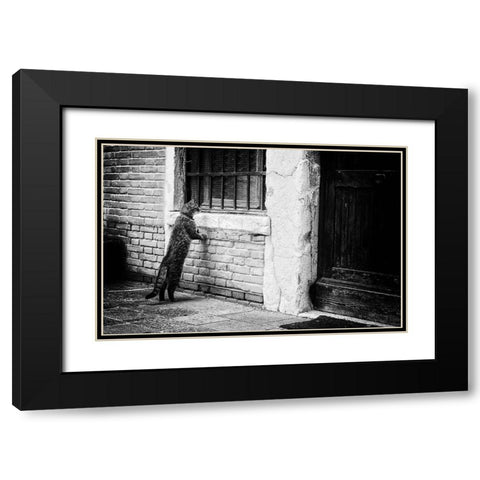 The Cat Black Modern Wood Framed Art Print with Double Matting by Vegh, Izabella