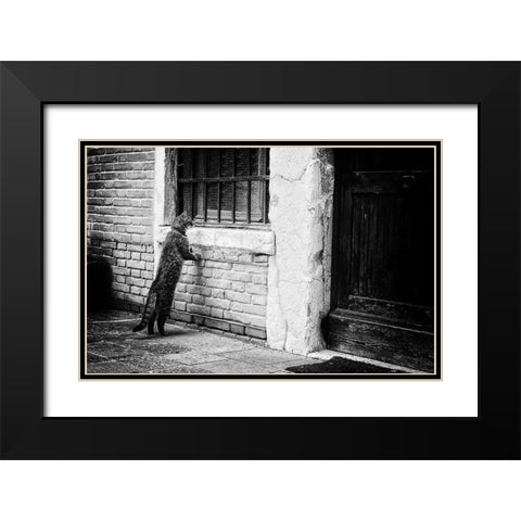The Cat Black Modern Wood Framed Art Print with Double Matting by Vegh, Izabella