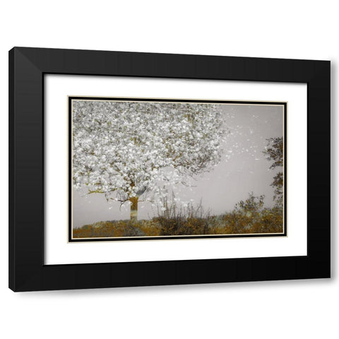 Fruit Tree Black Modern Wood Framed Art Print with Double Matting by Talen, Nel