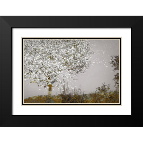 Fruit Tree Black Modern Wood Framed Art Print with Double Matting by Talen, Nel