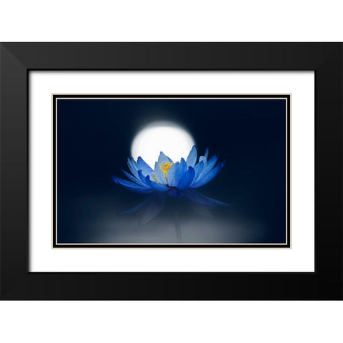 Fleeting Dream Black Modern Wood Framed Art Print with Double Matting by Suzuki, Takashi