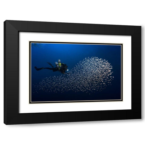 Alvin Shoal Black Modern Wood Framed Art Print with Double Matting by Gabriel, Barathieu