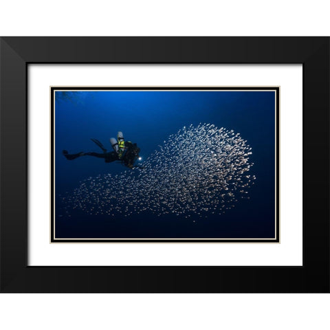 Alvin Shoal Black Modern Wood Framed Art Print with Double Matting by Gabriel, Barathieu