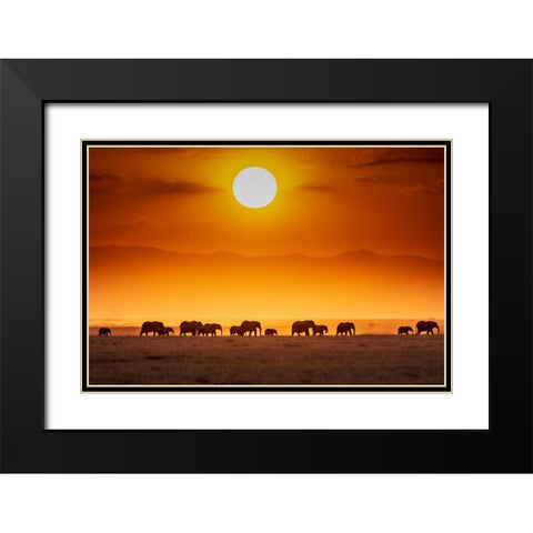 Sunrise Parade Black Modern Wood Framed Art Print with Double Matting by C. Sink, Jeffrey