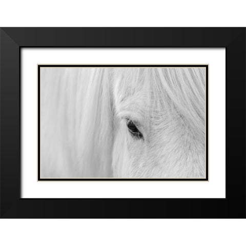 Whisper Of Iceland Black Modern Wood Framed Art Print with Double Matting by Fan, John