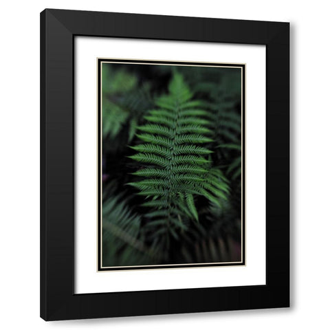 Soft Leaf Black Modern Wood Framed Art Print with Double Matting by Walsh, Claire