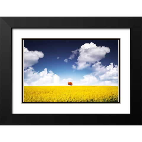 Canola Meadow Black Modern Wood Framed Art Print with Double Matting by Hamiti, Bess