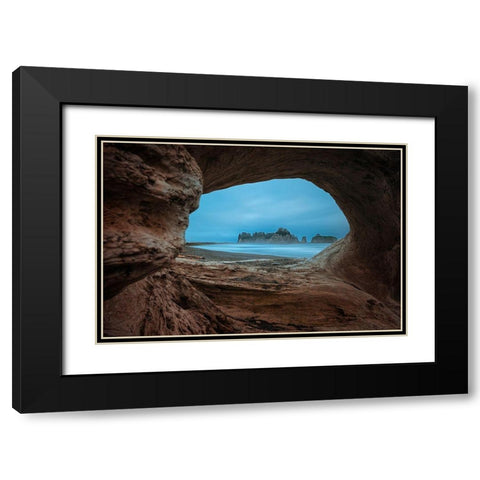 View From A Hollow Tree Black Modern Wood Framed Art Print with Double Matting by Jacobs, Lydia
